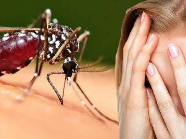 Sức khỏe đời sống - Tại sao muỗi luôn đốt bạn? Không phải do nhóm máu mà là do 4 "miếng mồi" này trên người bạn