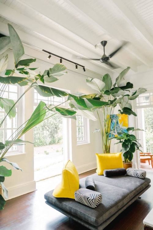 Cấu trúc biệt thự gồm một nhà lớn phía trước
và hai nhà nhỏ phía sau.