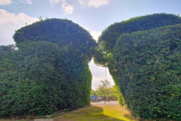 Tin tức trong ngày - Độc đáo ngôi đình bao quanh bằng ruối cổ, thờ nữ tình báo đầu tiên của chính sử Việt Nam