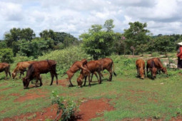 Kinh doanh - Khu đô thị hơn 200 tỷ quá hạn đầu tư: Từng bị xử phạt xây dựng không phép