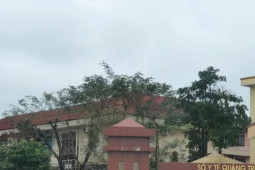 Tin tức trong ngày - Mua kit xét nghiệm, thiết bị y tế ở Quảng Trị: Phát hiện điểm bất thường