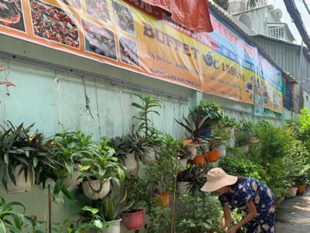 Tin tức trong ngày - TP.HCM: Những bức tường “xanh” chống nạn sơn vẽ bậy