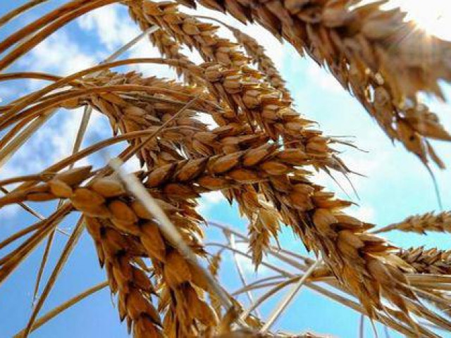 Thế giới - Mỹ ký thỏa thuận đặc biệt với Ukraine