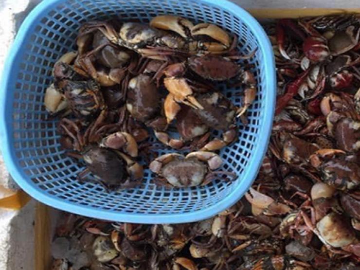 Thị trường - Tiêu dùng - Bán "đặc sản của nhà nghèo" ở thành phố khách đặt tới tấp, ngày kiếm tiền triệu