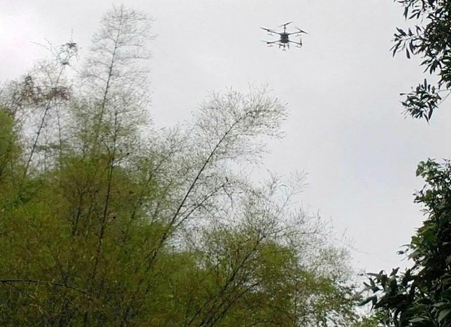 Dùng flycam để phun thuốc diệt trừ châu chấu