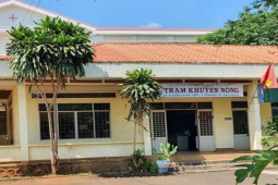 Tin tức trong ngày - Dân không có bò vẫn có tên trong danh sách… bò được phối giống