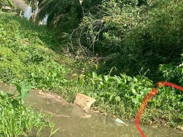 Tin tức trong ngày - Tìm thấy thi thể bé trai 4 tuổi sau hai ngày mất tích ở Long An