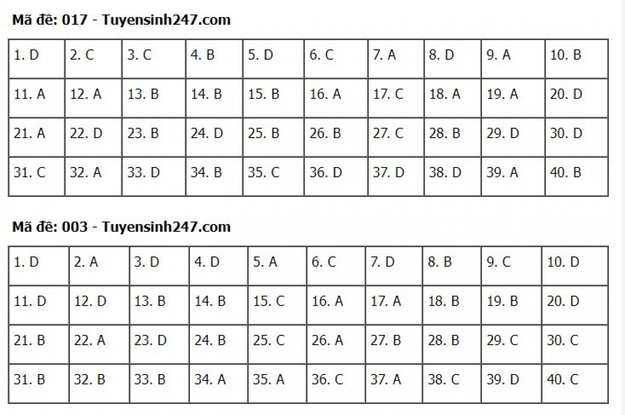 Đáp án đề thi môn Tiếng Anh tuyển sinh lớp 10 Hà Nội năm 2022 &#40;Full mã đề&#41; - 10