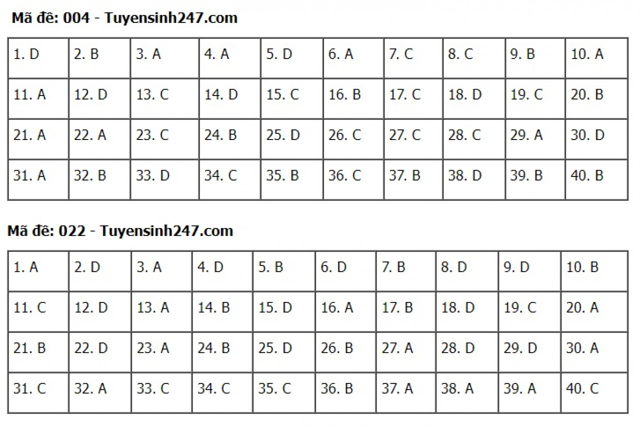 Đáp án đề thi môn Tiếng Anh tuyển sinh lớp 10 Hà Nội năm 2022 &#40;Full mã đề&#41; - 2