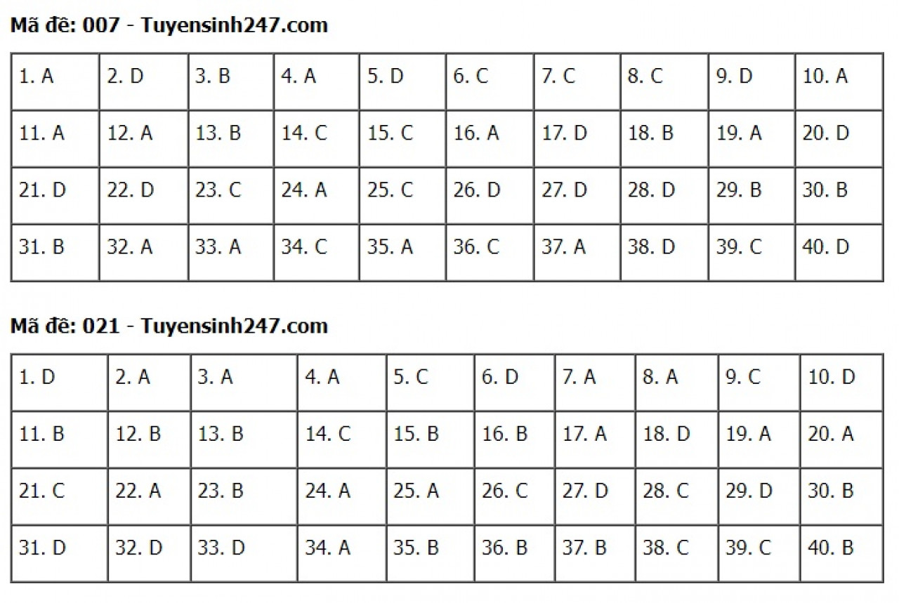 Đáp án đề thi môn Tiếng Anh tuyển sinh lớp 10 Hà Nội năm 2022 &#40;Full mã đề&#41; - 4