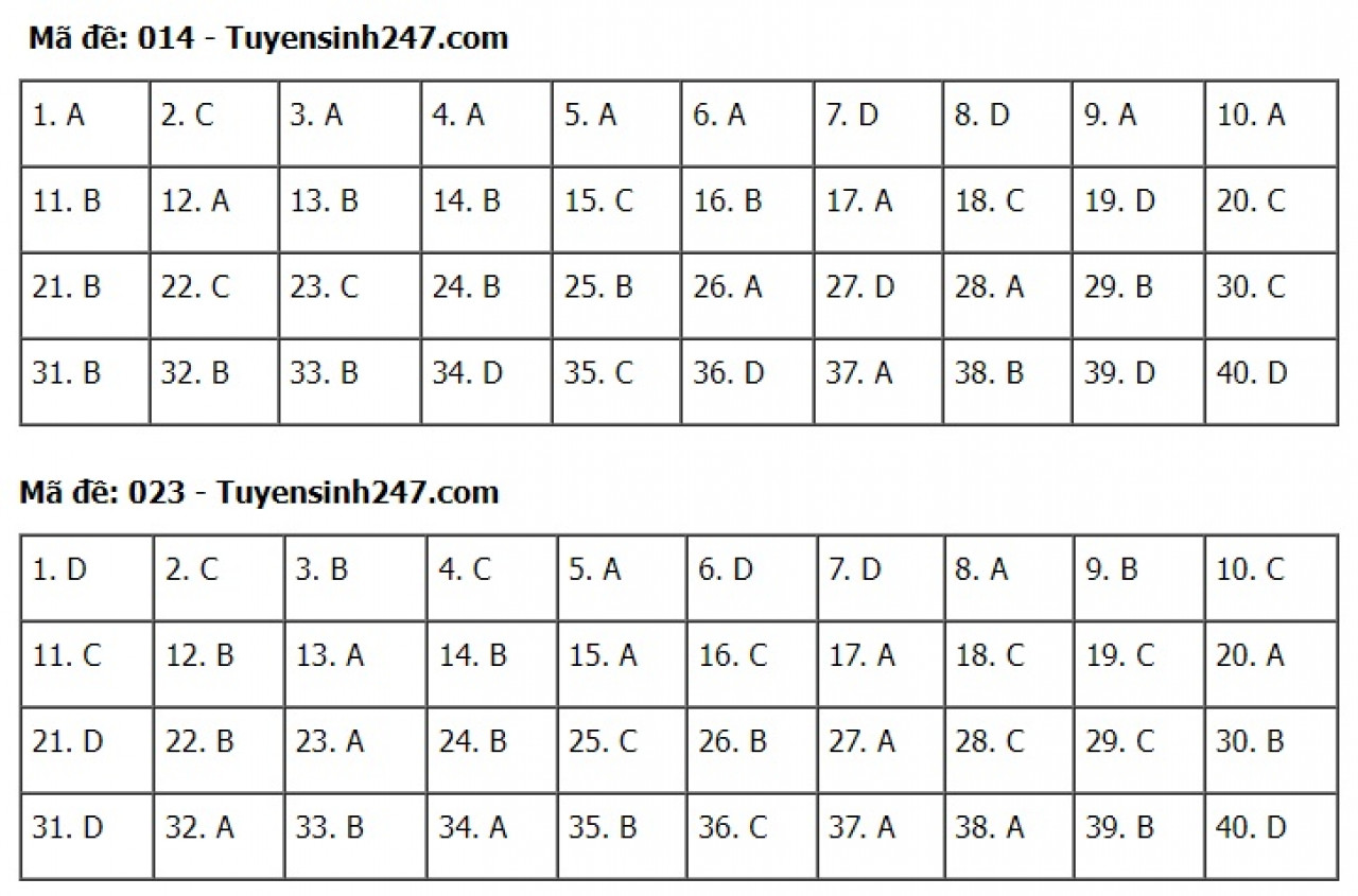 Đáp án đề thi môn Tiếng Anh tuyển sinh lớp 10 Hà Nội năm 2022 &#40;Full mã đề&#41; - 7