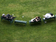 Sốc khán giả tới xem đua ngựa và làm "chuyện tế nhị" ngay trên trường đua