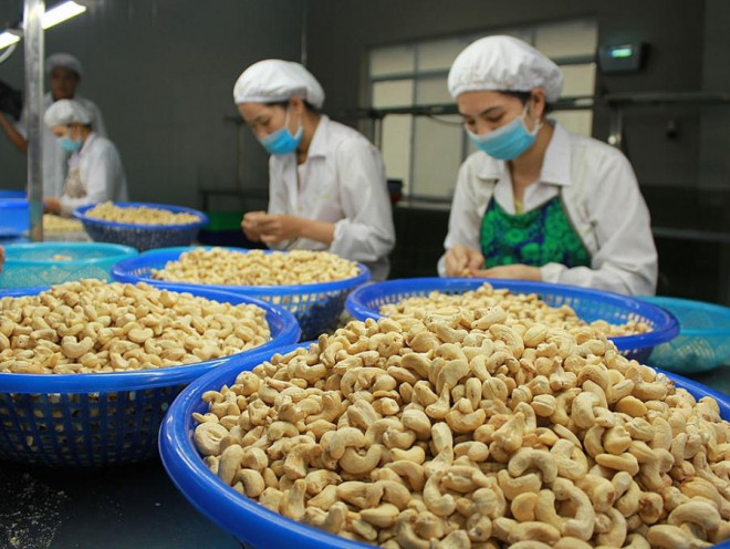&nbsp;Hiện toàn bộ 100 container hạt điều trong vụ việc bị có nguy cơ bị lừa đảo khi xuất khẩu cho đối tác châu Âu đều đã được trả lại quyền sở hữu cho các doanh nghiệp Việt Nam.