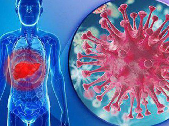 Sức khỏe đời sống - 5 lầm tưởng của bạn có thể gây hại cho gan