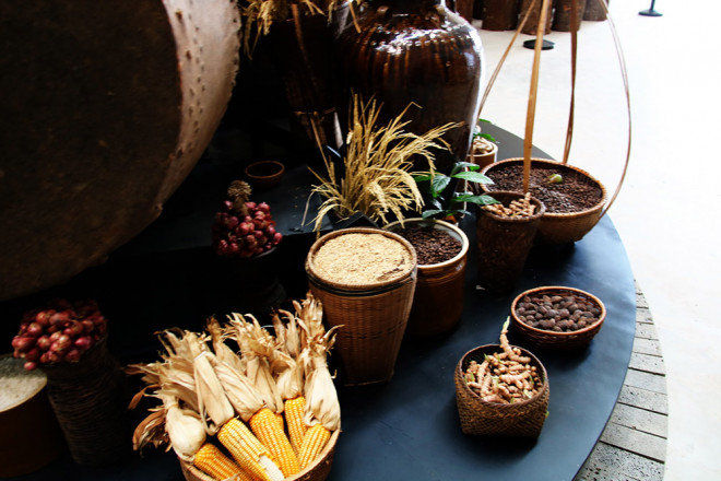 Nơi trưng bày hạt ngũ cốc