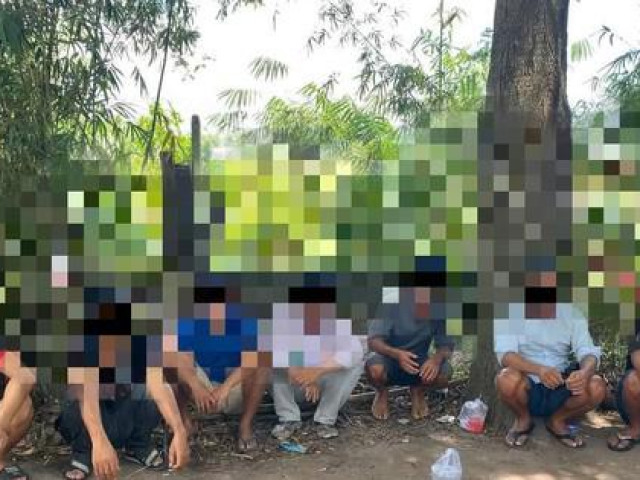 Pháp luật - Tổ chức đá gà, quay trực tiếp để người chơi cá cược qua mạng