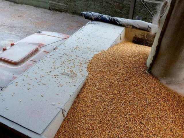 Thế giới - Hai mặt hàng của Nga mà EU không cấm vận nhưng khó xuất khẩu