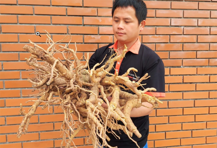 Anh Đinh Văn Thuận - chàng nông dân ở Hải Hậu, Nam Định &nbsp;đã nghiên cứu và cho ra sản phẩm &#34;độc - lạ&#34; này.&nbsp;
