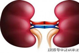 Sức khỏe đời sống - 2 quả thận tốt hay xấu hãy xem 5 chỗ này