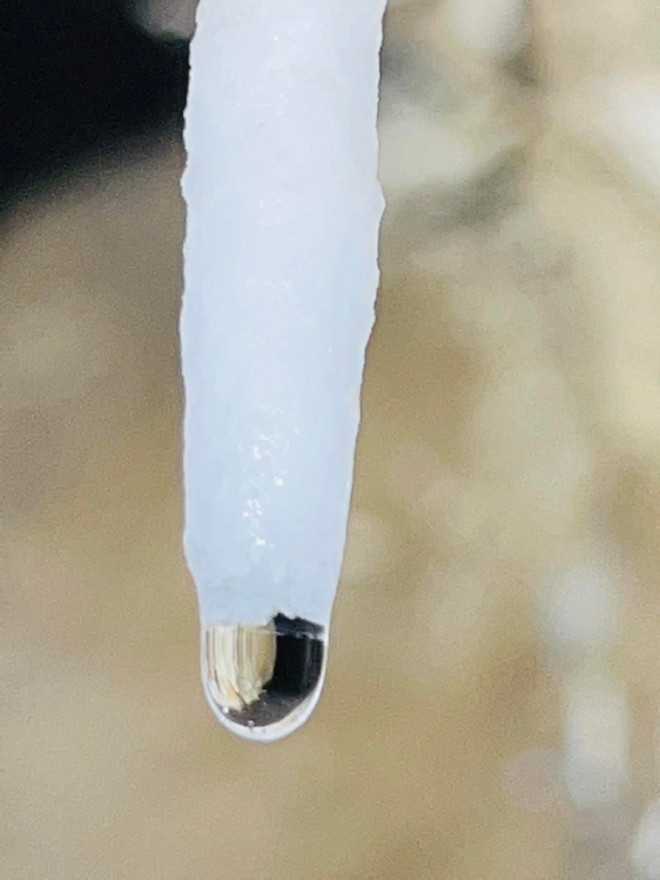 Giọt nước mong manh