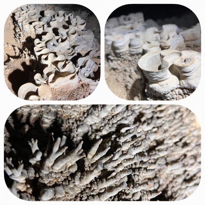 Như thế giới tí hon