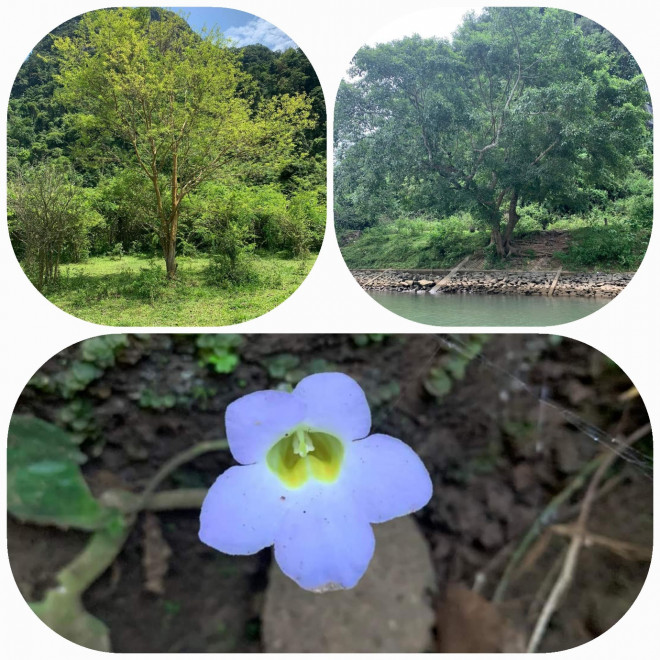 Trekking Tú Làn giữa những ngày hè - 14