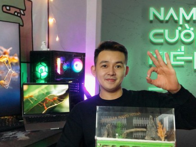 Bạn trẻ - Cuộc sống - Độc lạ "thú chơi" nuôi kiến cảnh của chàng TikToker triệu view