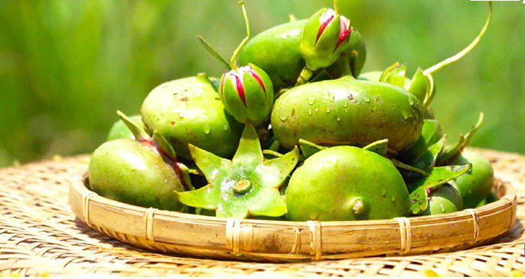 Ngoài trái bần tươi được bán với giá 50.000-70.000/kg, trên chợ mạng còn có trái bần khô bán giá 180.000 đồng/kg
