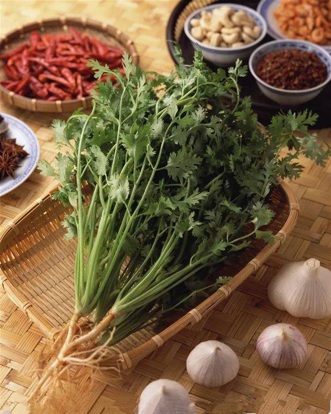 5 loại thực phẩm lành mạnh nhất trong mắt các bác sĩ, nhưng tiếc là nhiều người không thích ăn chúng - 3