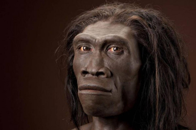 "Người lai vượn" Homo erectus: Đứng thẳng nhưng có dung nhan còn mang nhiều đặc điểm của vượn cổ đại - Ảnh: SMITHSONIAN MAGAZINE