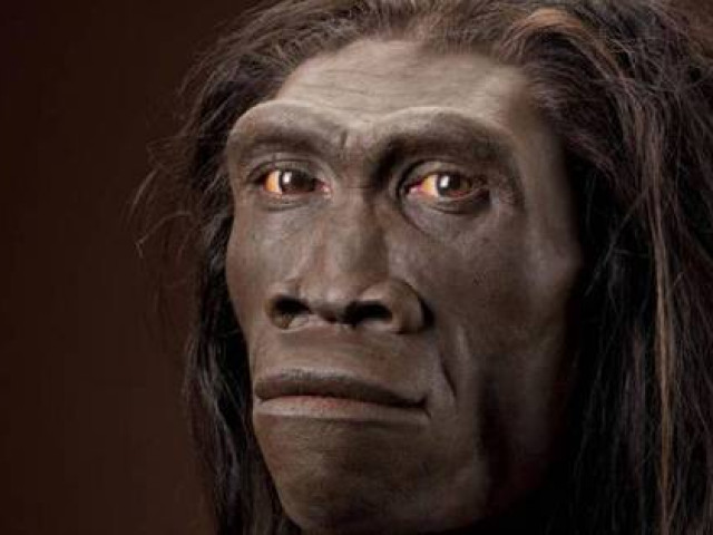 Du lịch - Khai thác đá, vô tình lần ra dấu vết "người lai vượn" 600.000 tuổi