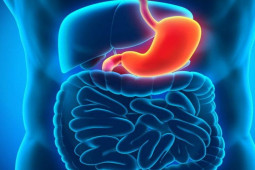 Sức khỏe đời sống - "Đồng phạm" của ung thư dạ dày, muốn tránh bệnh này đừng ăn 4 loại thực phẩm sau