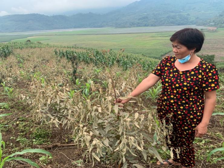 Tin tức trong ngày - Vụ không khí có mùi lạ, người ngất xỉu, cây cối xác xơ: Phạt doanh nghiệp 350 triệu đồng
