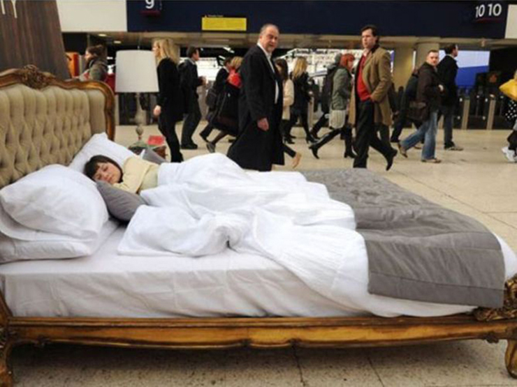 Tranh vui - Bao người giật mình khi vô tình bắt gặp hành động khó tin nơi công cộng