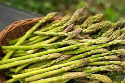 Ẩm thực - Loại "rau hoàng đế" vừa giúp ngăn ngừa ung thư vừa tăng cường sinh lý