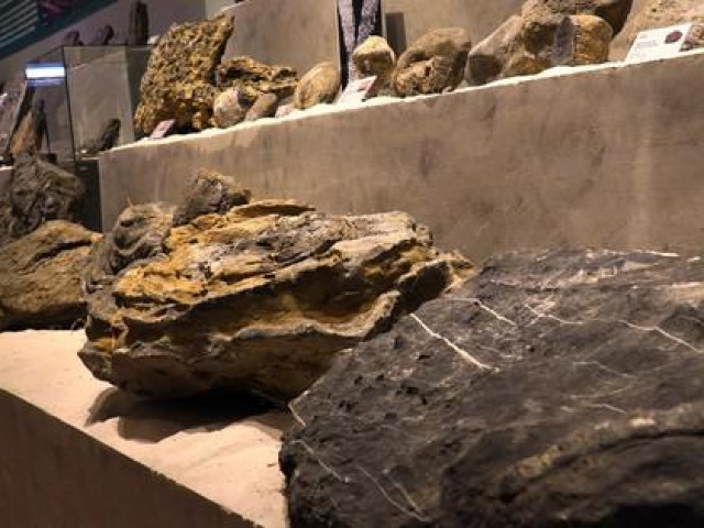 Tin tức trong ngày - Phiến đá cổ có niên đại ‘khủng’ 2,9 tỷ năm được trưng bày tại Huế