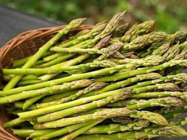 Ẩm thực - Loại "rau hoàng đế" vừa giúp ngăn ngừa ung thư vừa tăng cường sinh lý