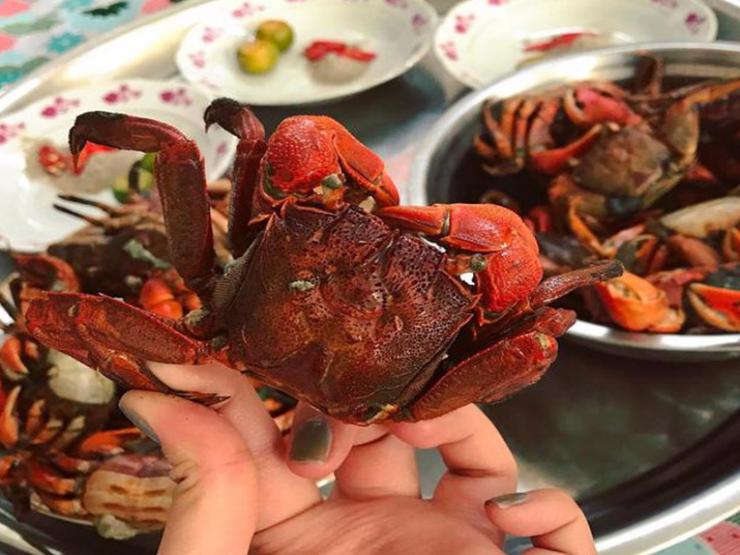 Thị trường - Tiêu dùng - Loại đặc sản lạ chỉ có ở Cà Mau, giống con cua, xưa giá siêu rẻ nay 200.000 đồng/kg