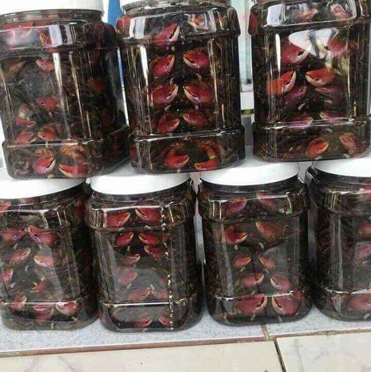 &nbsp;Trên thị trường, ba khía tươi có giá từ 140-160 nghìn đồng/kg, còn ba khía muối có giá lên tới 200.000 đồng/kg. Ai đến với Cà Mau đều muốn thưởng thức ba khía muối hoặc tìm mua về làm quà cho người thân, bạn bè.
