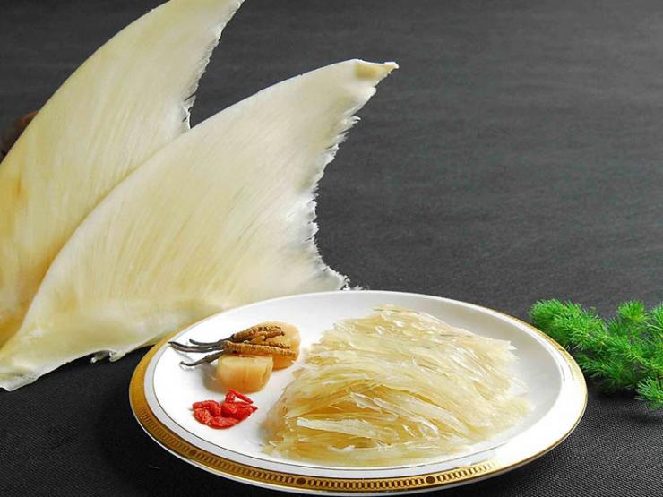 Ẩm thực - Vây cá mập được ví như thuốc bổ thượng hạng, là món ngon xa xỉ nhưng liệu nó có thực sự tốt?