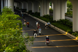 Tin tức trong ngày - Hà Nội có con đường ai cũng thích đi trong những ngày hè "rực lửa"