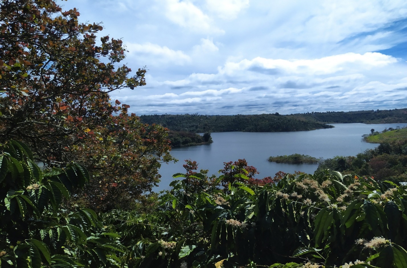 Vùng cà phê cảnh quan quanh hồ thủy điện Đắk R’Tit