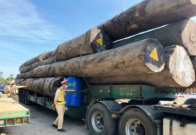 CSGT tạm giữ xe đầu kéo chở hàng chục khối gỗ. Ảnh: T.Trực