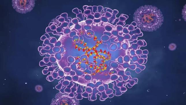 Báo động: Virus đậu mùa khỉ tiến hóa 'thần tốc' nhanh gấp 12 lần thông thường - 1