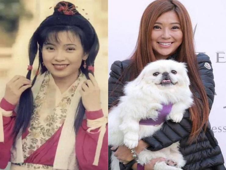 Phim - Quách Phù "Thần Điêu Đại Hiệp" đẹp nhất màn ảnh, lấy chồng đại gia giờ ra sao?