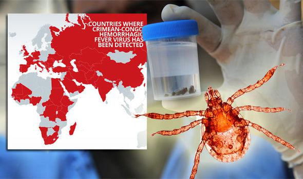 Nga tìm ra chủng bệnh sốt xuất huyết Crimean-Congo mới nguy hiểm - 1
