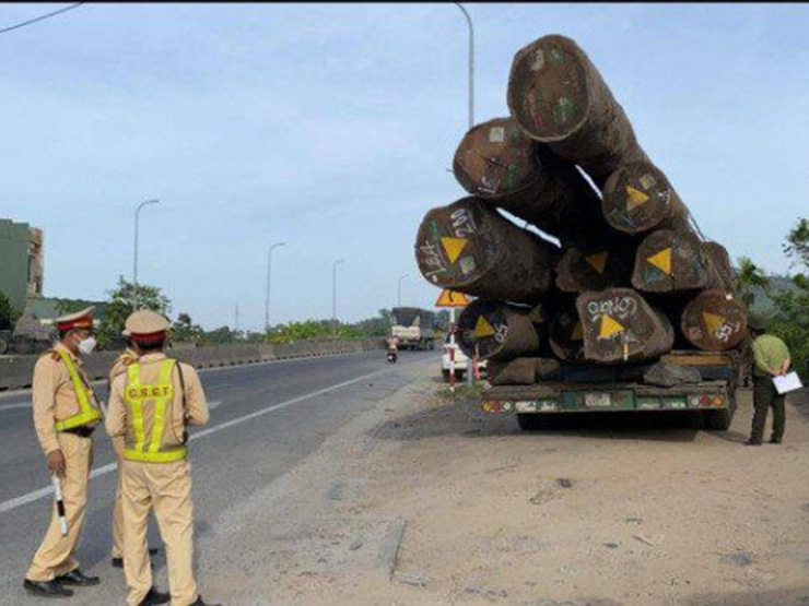 Tin tức trong ngày - Xe chở gỗ "khủng" đi trót lọt qua nhiều tỉnh, thành: CSGT Hải Phòng nói gì?