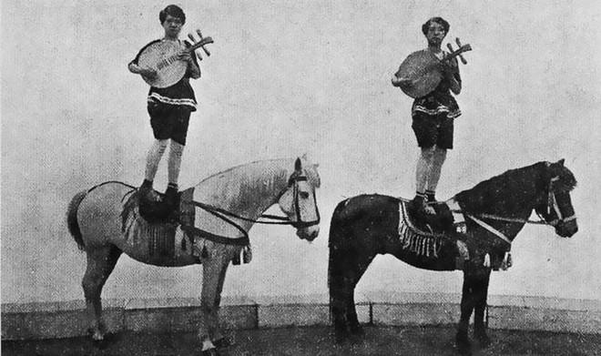 Tập luyện Xiếc ngựa – Gánh Xiếc gia đình NSND Tạ Duy Hiển