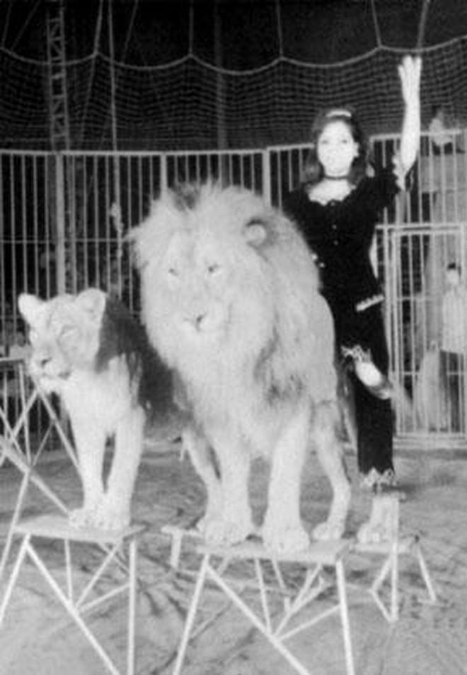 NSƯT Đỗ Phương Hảo biểu diễn cùng sư tử