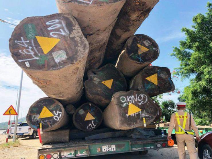 Xe đầu kéo ”khủng” chở hơn 83m3 gỗ lim vượt qua hàng loạt địa phương